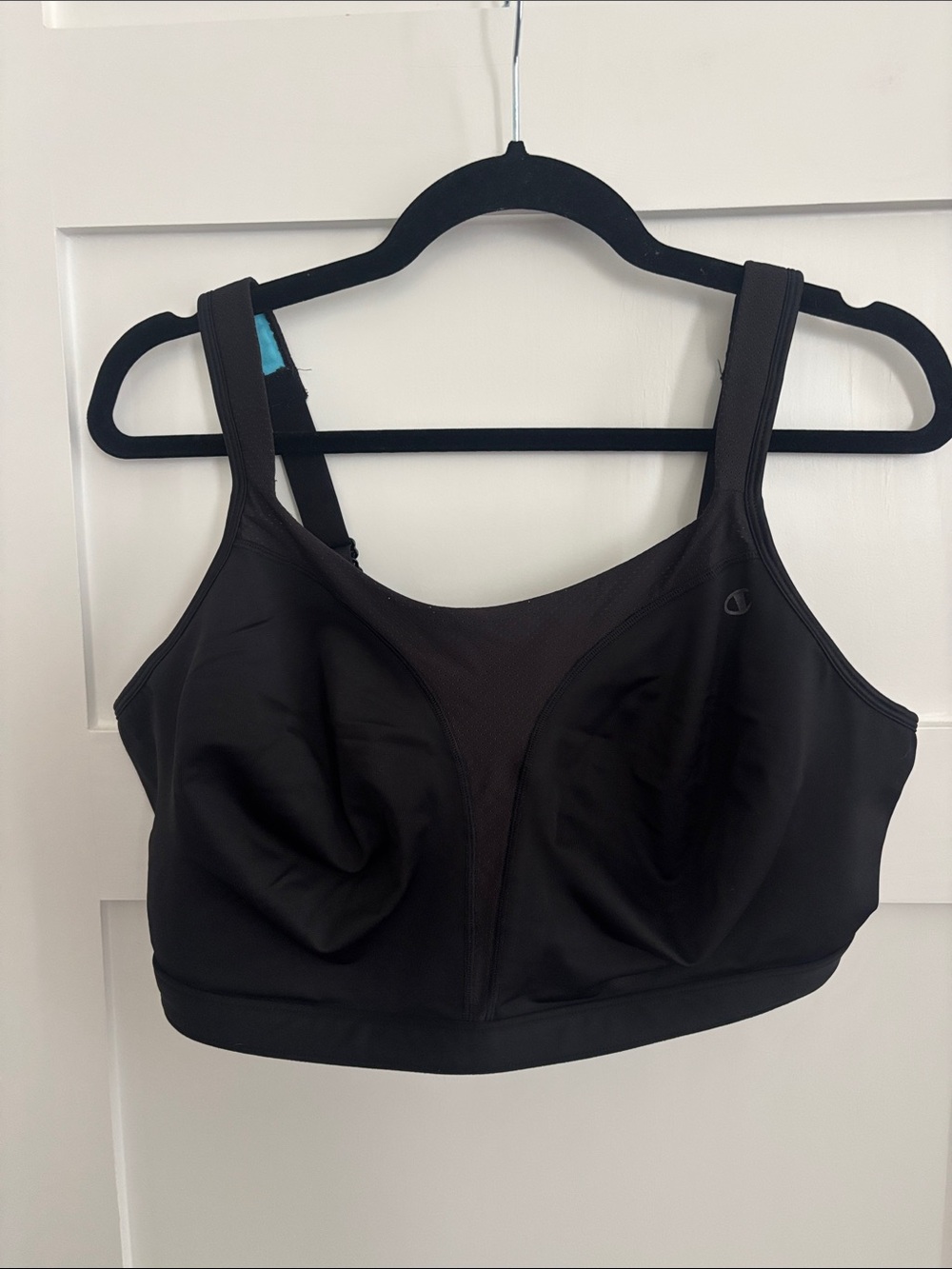 Champion Size 42DDD Sports Bra